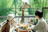 「「キリンと朝食」が再開！動物園×グランピング施設『THE BAMBOO FOREST』夏限定・流しそうめん付き宿泊プランも開始」の画像1