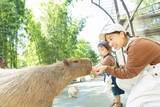 「「キリンと朝食」が再開！動物園×グランピング施設『THE BAMBOO FOREST』夏限定・流しそうめん付き宿泊プランも開始」の画像3