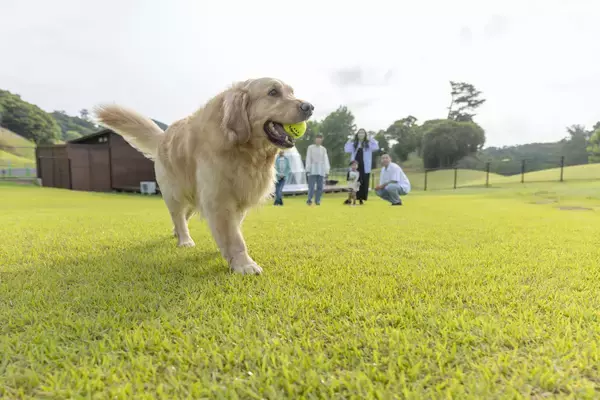 「空飛ぶクルマの操縦体験もできる「志摩まつり2026早春（後援：志摩市・近畿日本鉄道株式会社）」開催！近鉄「鵜方」駅前の交流拠点「伊勢志摩ぷらっとHOME」および「志摩グリーンアドベンチャー」にて2026年２月14日（土）15日（日）の２日間」の画像