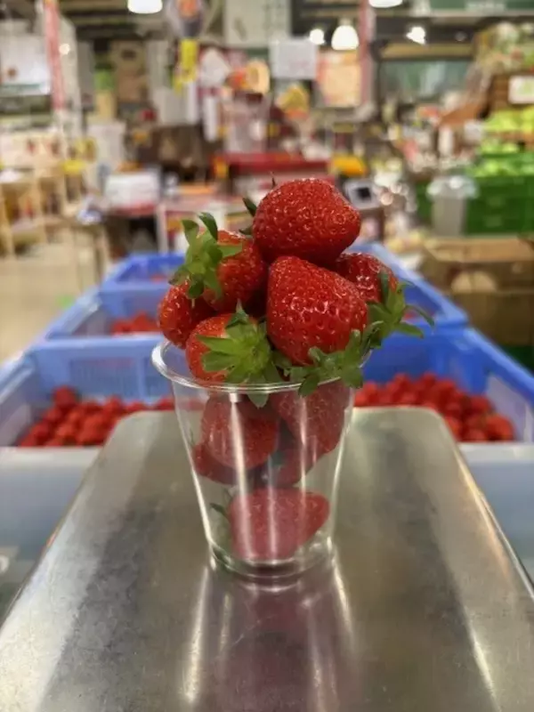 「＼安さも楽しさも限界突破！／群馬の旬で家計応援！上州・村の駅「春の生活応援感謝祭」を3/1より開催！この春“ワクワク・おいしい新発見”がここにある。」の画像