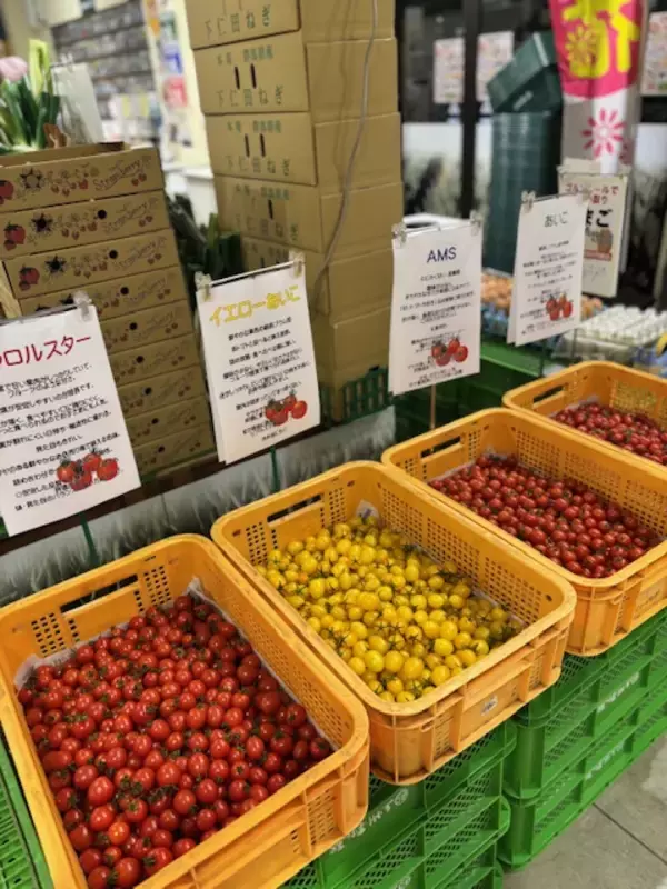 「＼安さも楽しさも限界突破！／群馬の旬で家計応援！上州・村の駅「春の生活応援感謝祭」を3/1より開催！この春“ワクワク・おいしい新発見”がここにある。」の画像