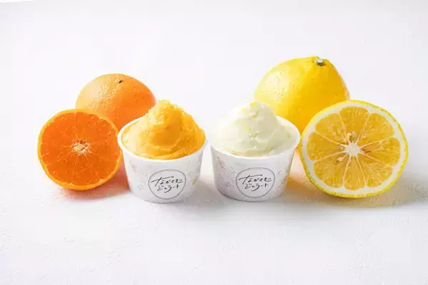 「【長崎・地域連携】規格外の希少かんきつを活用した「ながさきジェラート」を本格展開」の画像