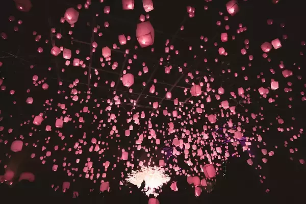 「スカイランタンと花見を楽しむ『花見灯夜2026』が4/1(水)～7(火)に東京・新宿で開催！1日最大1,500個の桜灯が満開に。」の画像