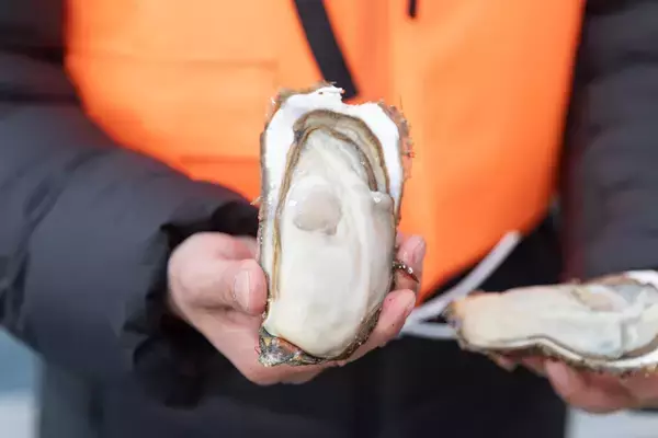 「【新発売】宮城県産“春牡蠣”を贅沢に味わう「牡蠣ひつまぶし」が登場！三陸の海が育んだ濃厚な旨味を、松島の絶景とともに。｜2026年4月14日(火)より提供開始」の画像