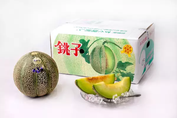 “幻のメロン”銚子メロン、6月1日今季出荷開始　銚子の初夏の風物詩