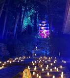 「国宝五重塔に青龍が降臨！ 室生寺の紅葉ライトアップが見頃」の画像2