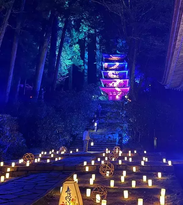 「国宝五重塔に青龍が降臨！ 室生寺の紅葉ライトアップが見頃」の画像