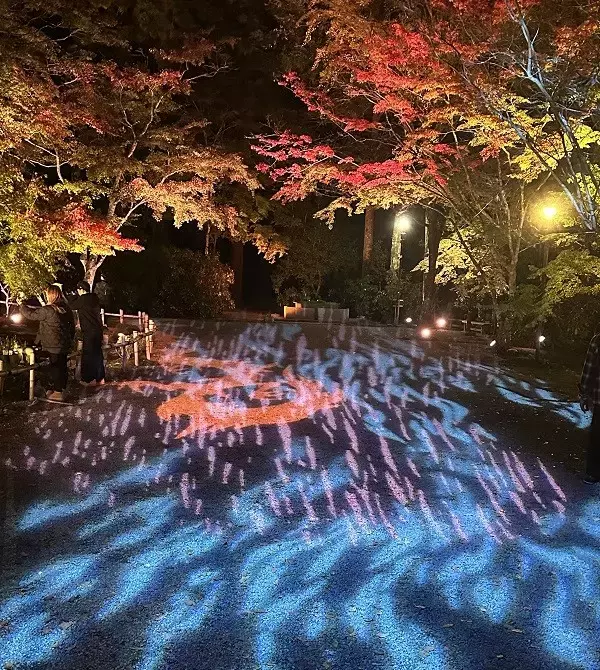 「国宝五重塔に青龍が降臨！ 室生寺の紅葉ライトアップが見頃」の画像