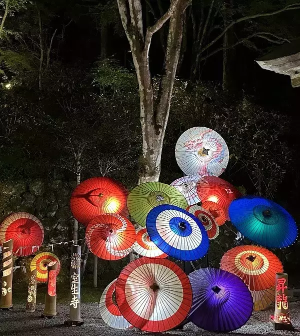 「国宝五重塔に青龍が降臨！ 室生寺の紅葉ライトアップが見頃」の画像