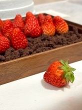 【Pluie d’été 6周年記念】“苺狩り体験”をテーマにした限定コースを3月19日より期間限定提供