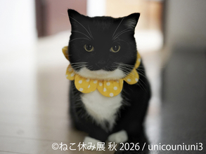 SNSで人気の猫作品が名古屋に集結！「ねこ休み展 秋 2026」を9/19(土)より開催！初参加の注目猫や特別POP UP EVENTも登場