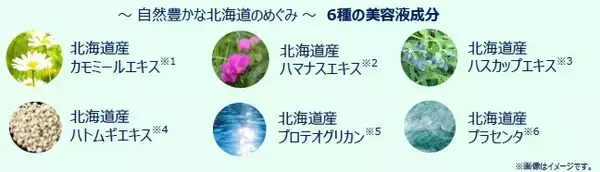 「2026年6月18日(木)より数量限定発売『北のかおり フェイシャルフォーム』」の画像