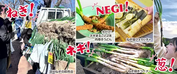 ＜道の駅おがわまち＞11月22日～24日・29日・30日の限定開催！ネギで、ネギらう、ネギ尽くしの5日間【埼玉県産深谷ねぎ大収穫祭】