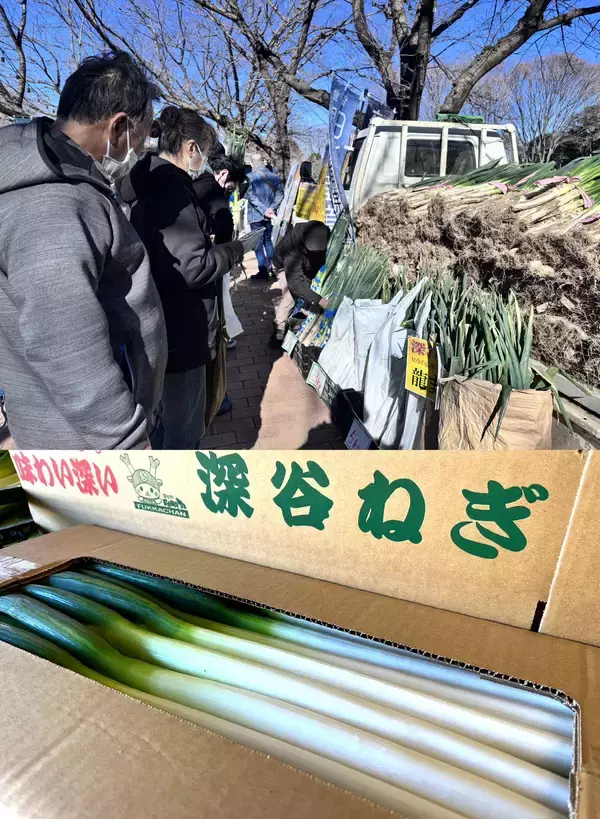 「＜道の駅おがわまち＞11月22日～24日・29日・30日の限定開催！ネギで、ネギらう、ネギ尽くしの5日間【埼玉県産深谷ねぎ大収穫祭】」の画像