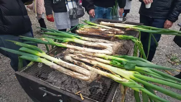 「＜道の駅おがわまち＞11月22日～24日・29日・30日の限定開催！ネギで、ネギらう、ネギ尽くしの5日間【埼玉県産深谷ねぎ大収穫祭】」の画像
