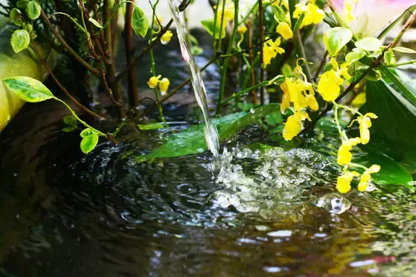 「京都の歴史を注ぐ一杯　京都の地下30mから湧き出る「京都湧水名水」で丁寧に抽出する自家焙煎「京都湧水名水コールドブリュー」　5月10日より提供開始」の画像