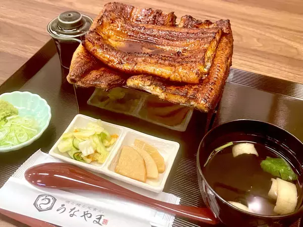 「【藤沢駅南口徒歩2分】鰻2匹分が山を成す！『酒と鰻と定食と。うなやま』が、驚愕の「マウンテン重」を4,800円(税込)で提供開始」の画像