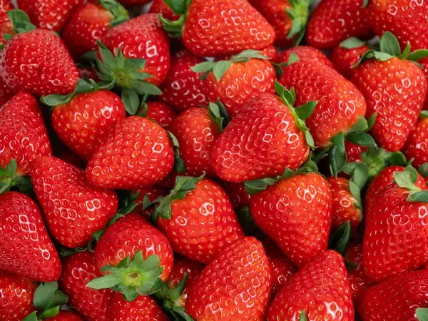 「東京の奈良まほろば館（新橋）で、大和の伝統野菜「味間いも」試食販売会、奈良いちごフェスタ、大和地蔵十福フェアを実施」の画像