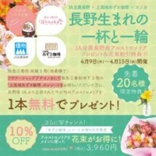 長野県産アルストロメリア×あずさ珈琲 特別コラボフェア開催