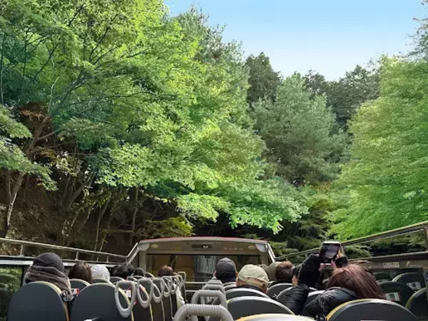 「～京阪グループ共同企画　京都の深層に触れる「プレミアムバスツアー」2種を発売～◆屋根のない特等席で巡る、春の比叡山！◆禅宗二大名刹をめぐる！僧侶が導く至高の特別体験‼」の画像