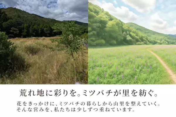 「熊被害からの復旧の先へ――兵庫県宍粟市の養蜂家が耕作放棄地に花を植え、“ミツバチが暮らす里山”の環境を育む「花織里(Beellage)プロジェクト」開始」の画像