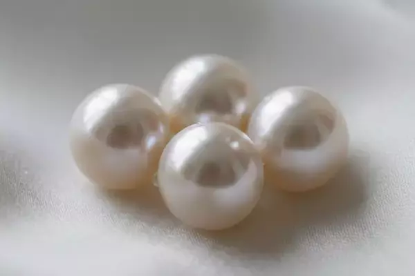 日本産真珠の欧州需要拡大を受け「おもいお」がアコヤ真珠の買取体制を強化 国際的な再評価を査定価格に反映