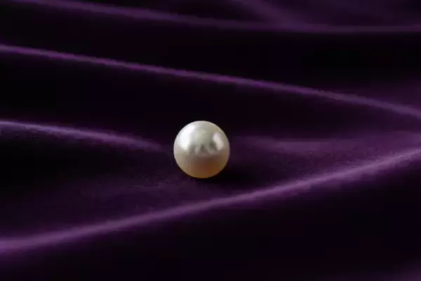 「日本産真珠の欧州需要拡大を受け「おもいお」がアコヤ真珠の買取体制を強化 国際的な再評価を査定価格に反映」の画像