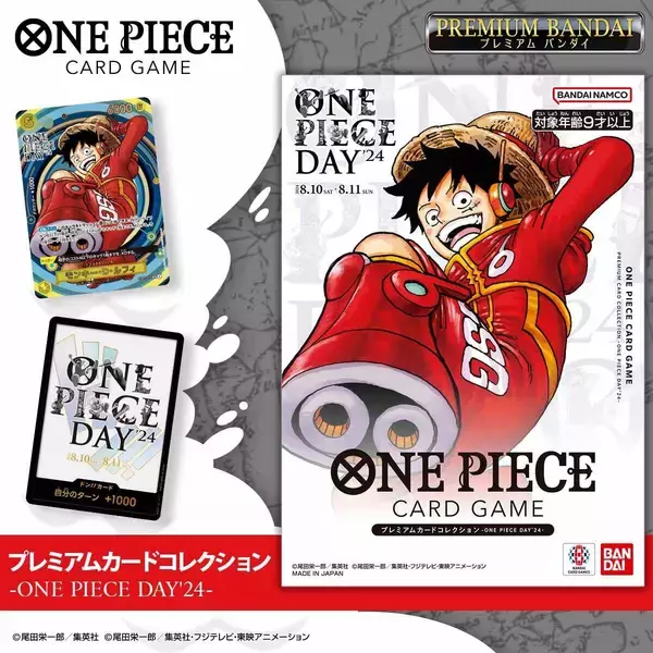 ONE PIECE DAY