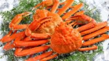 【1/23開始】軽井沢で冬のプチ贅沢旅。アルコール飲み放題＆カニ食べ放題付を期間限定で提供