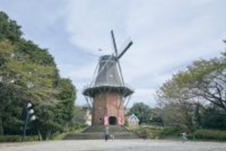 【山口県周南市】第41回つつじ・ゆめ風車まつりinレゾナック永源山公園～５月２日・３日に開催します！～