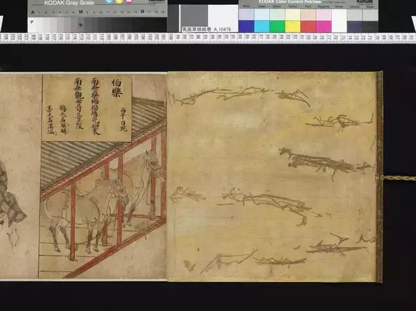 「東京国立博物館、新年恒例の「博物館に初もうで」2026年1月1日(木・祝)13時より開催！」の画像