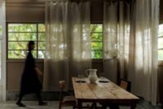 二度と出会えない最後の3000mを解禁　数千年の黒土が育んだ伝説の黒大麻カーテン「ブラックソイルヘンプ」が12/19～限定公開