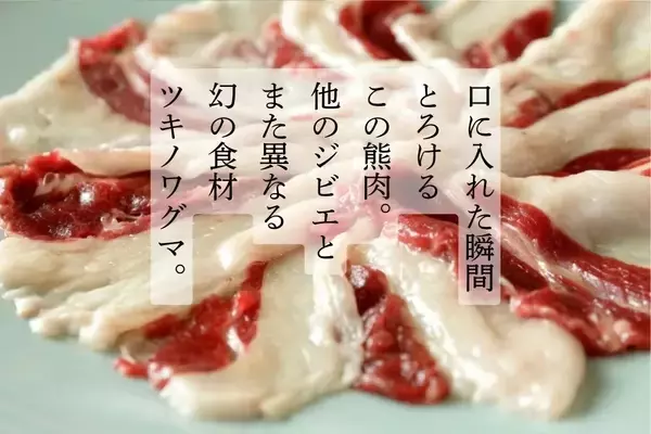 「「食べて森を守る」熊鍋の缶詰プロジェクト始動　～廃棄される命を循環させる“食べる自然保全モデル”～」の画像