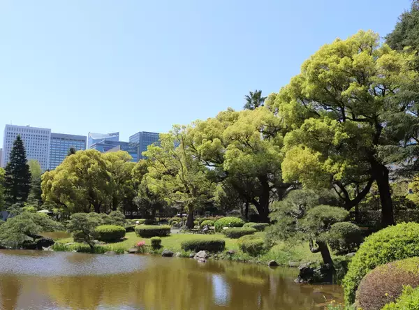 「【2/6開催】日比谷公園Parkガイドツアー ～日本初の洋風公園をめぐるガイドツアーと上質なティータイム～」の画像