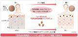「ノエビアグループ、九州産丸大豆「ふくゆたか」の『豆乳由来高純度イソフラボン』が肌のバリア機能を強化することを解明」の画像1
