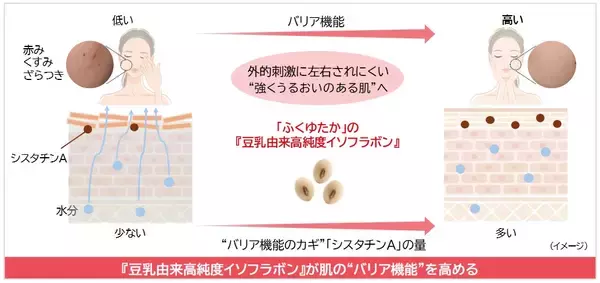 ノエビアグループ、九州産丸大豆「ふくゆたか」の『豆乳由来高純度イソフラボン』が肌のバリア機能を強化することを解明