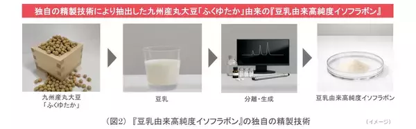 「ノエビアグループ、九州産丸大豆「ふくゆたか」の『豆乳由来高純度イソフラボン』が肌のバリア機能を強化することを解明」の画像
