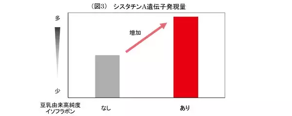 「ノエビアグループ、九州産丸大豆「ふくゆたか」の『豆乳由来高純度イソフラボン』が肌のバリア機能を強化することを解明」の画像