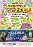 「「キモい」「怖い」は進化の証。徳山動物園で今夏、見た目で嫌われがちな生き物たちの秘密に迫る『個性爆発 クセがすごい いきもの展～生きぬくための形と色～』開催」の画像1