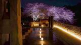 「連日の40度超え！1200年の伝統ある寺院が、猛暑のお墓参りは日中ではなく夜間にシフトすることを提案　2026年は新たに縁日を開催！家族で楽しめる参拝イベントへ」の画像1