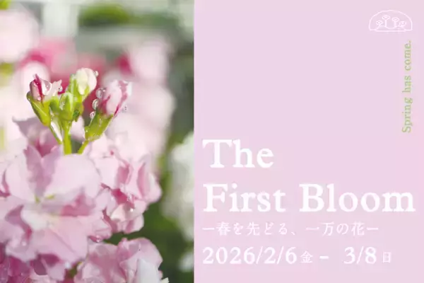 早春の草花展を中心とした、植物園の一足早い春を楽しむ『The First Bloom ―春を先どる1万の花―』を開催　2月6日(金)～3月8日(日)
