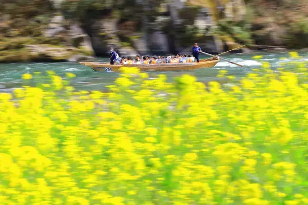 「都心から90分！和船で清流を下る、長瀞の名物体験　3/10(火)「長瀞ラインくだり」2026年シーズン運航開始！」の画像