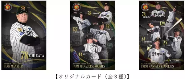 「「平田勝男の必勝！串勝（カツ）5番勝負」「虎風荘カレー（甘口）」日鉄鋼板 SGLスタジアム 尼崎で2026シーズンの新グルメが登場！」の画像