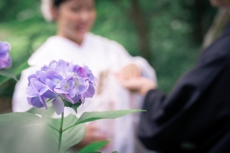 【6月7月限定】大阪城公園での本格和装前撮りが13万円で叶えられる！「INAI WEDDING WASOU大阪店」が圧倒的コスパの新プランを受付開始
