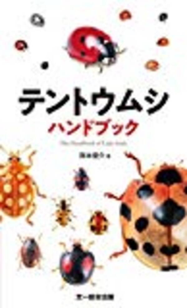 テントウムシの世界を知る 18年8月22日 エキサイトニュース