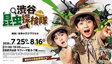 東京・渋谷で日中から「夜の昆虫観察」ができる体験型昆虫展