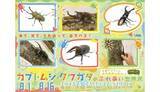 「「カブトムシ・クワガタのふれあい世界展」開催！　AR昆虫採集ゲーム「バグハン！」コラボブースも登場」の画像1