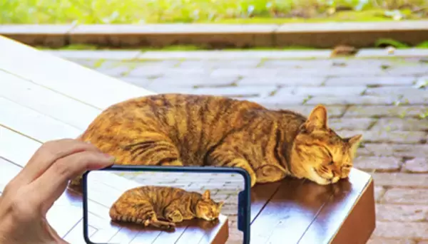 スマホの写真、どうやって保存する？ プリントしたことがある人は約半数