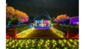 西洋と和の庭園が輝く夜、ウインターイルミネーション「光のミュージアム」