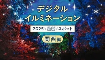 【2025年最新】関西のデジタルイルミネーションを紹介 チームラボ ボタニカルガーデン 大阪など3スポット